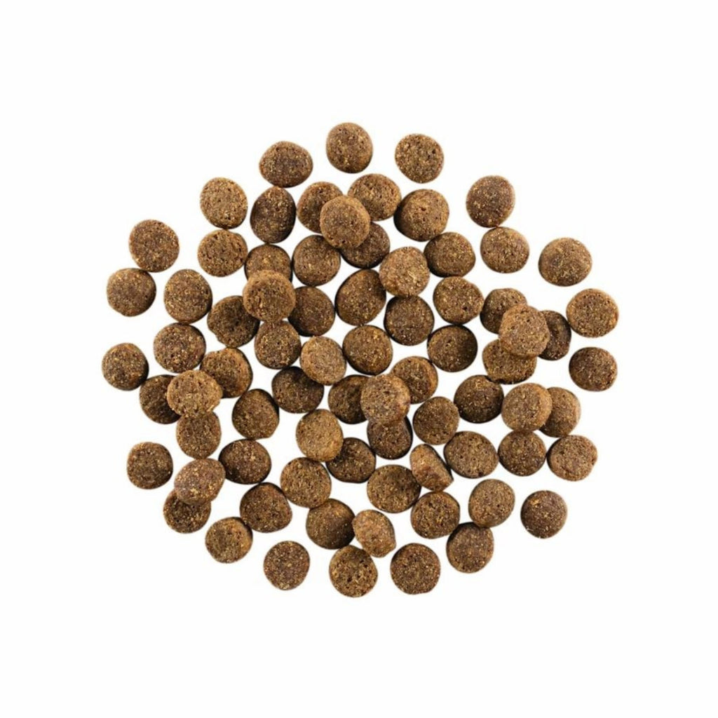 Go! Dog Skin & Coat Care Salmon With Grain 12Lb