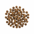 Go! Dog Skin & Coat Care Salmon With Grain 12Lb