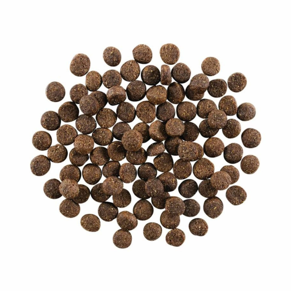 Go! Dog Skin & Coat Care Lamb With Grain 3.5Lb