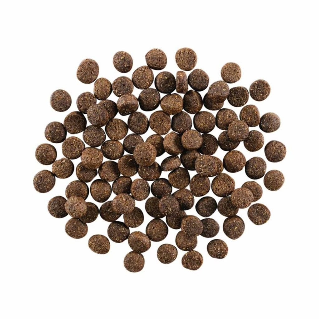 Go! Dog Skin & Coat Care Lamb With Grain 12Lb