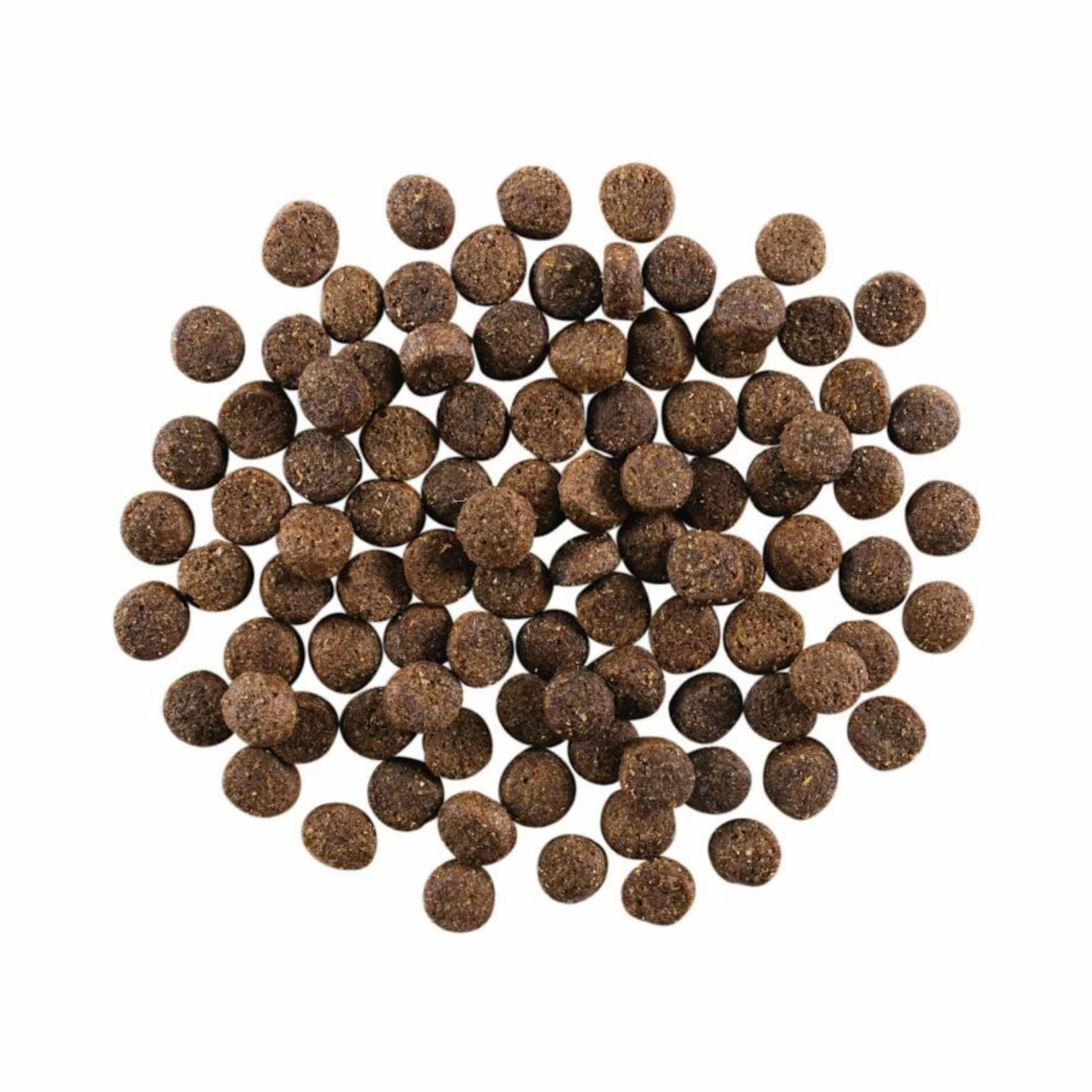 Go! Dog Skin & Coat Care Lamb With Grain 12Lb