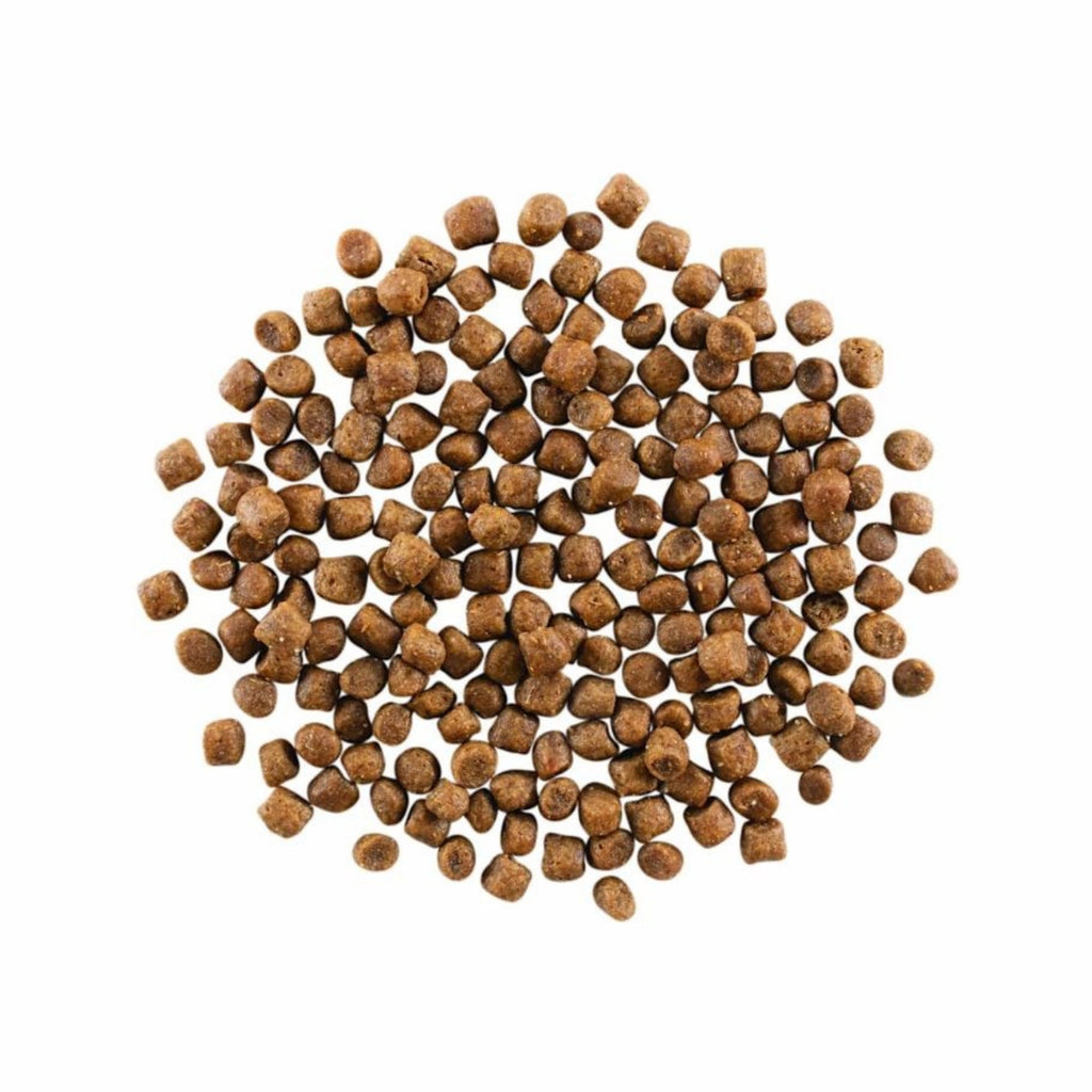 Go! Cat Skin & Coat Care Chicken With Grain 8Lb