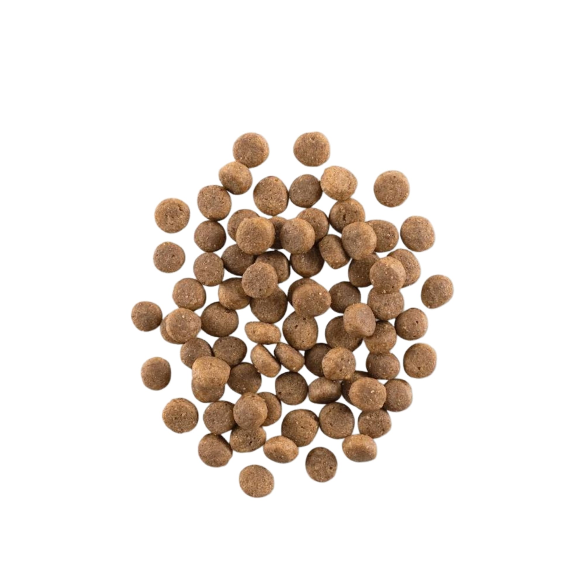 !sub NOW D GF PUP TKY 3.5#