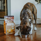 !sub NOW D GF PUP TKY 3.5#