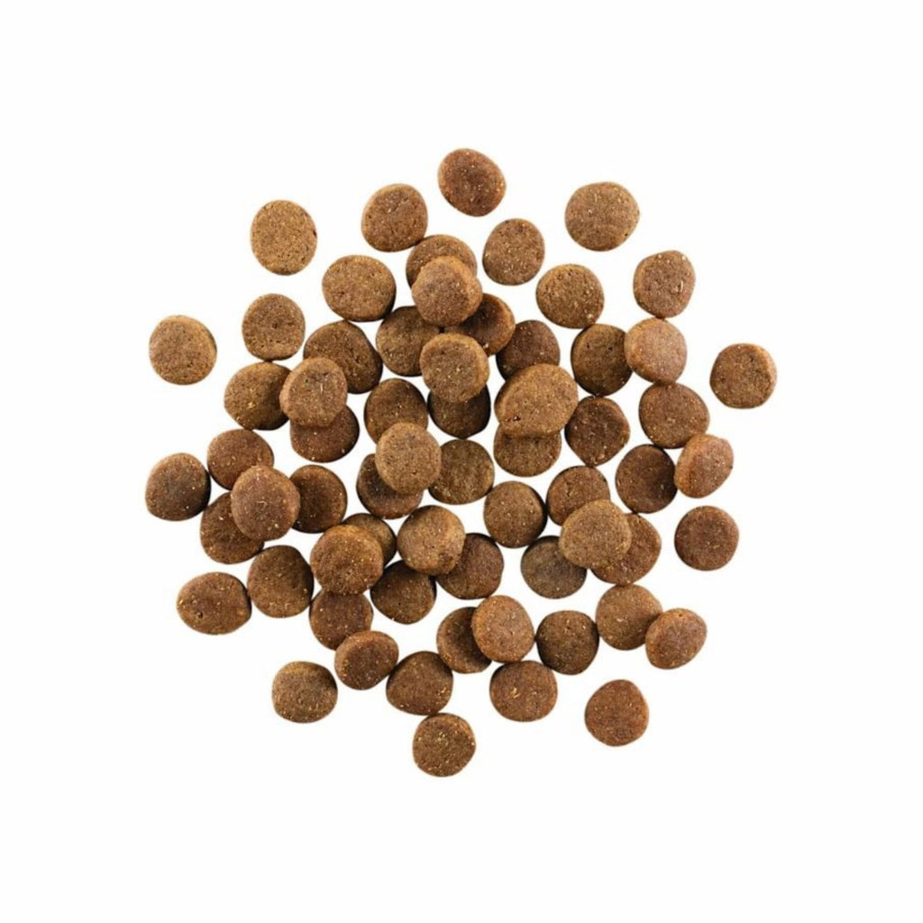 Go! Dog Carnivore Grain Free Puppy Chicken, Turkey & Duck 3.5Lb