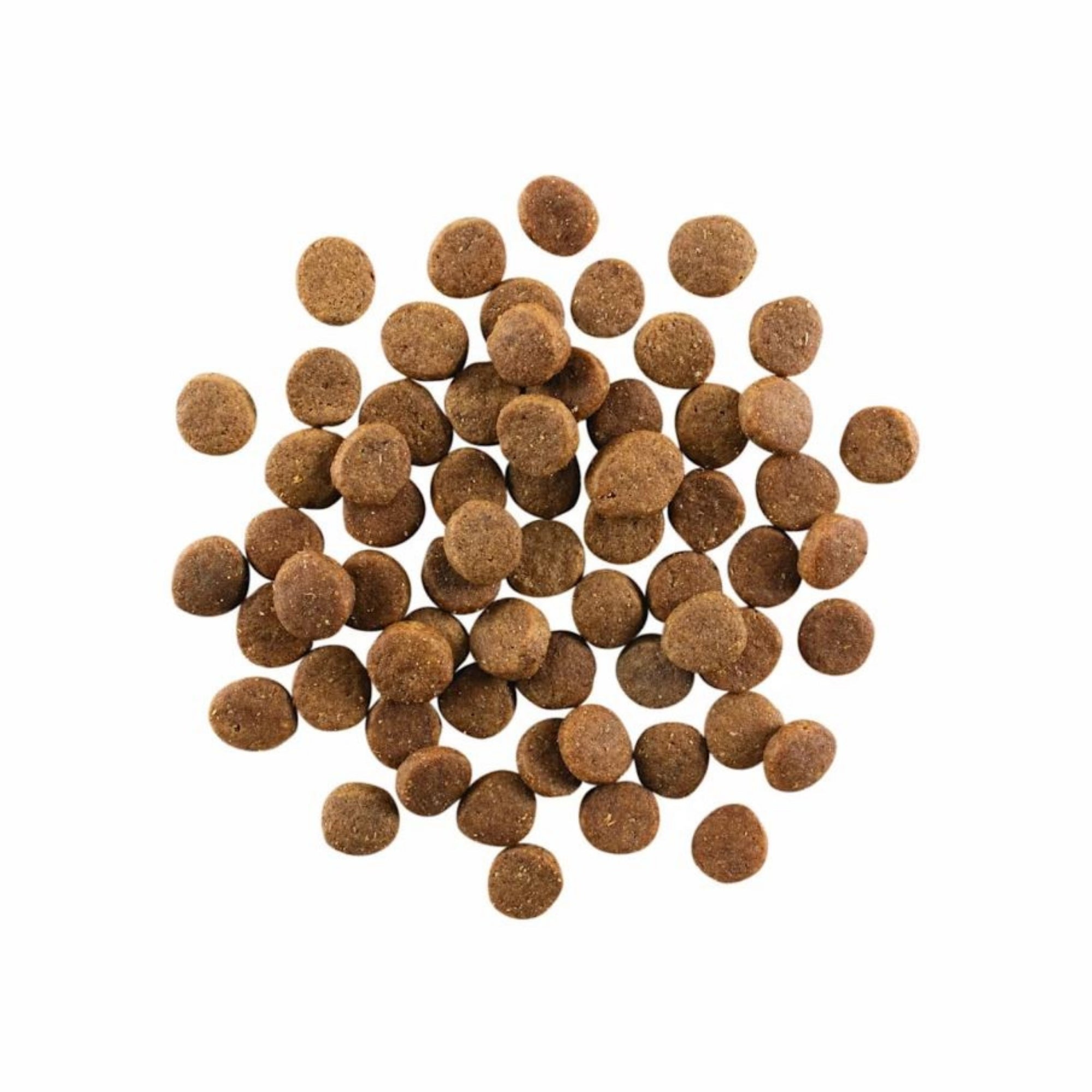 Go! Dog Carnivore Grain Free Puppy Chicken, Turkey & Duck 3.5Lb