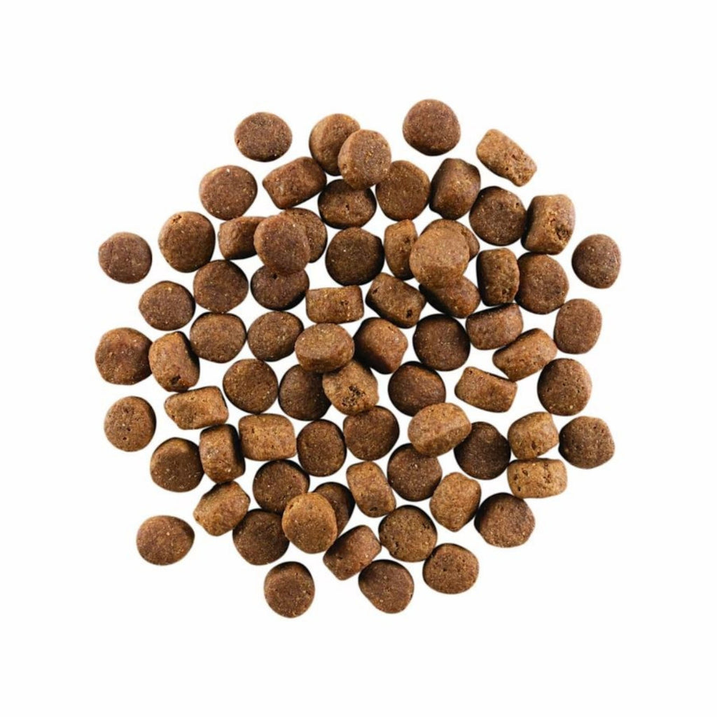 Go! Dog Carnivore Grain Free Senior Chicken, Turkey & Duck 3.5Lb