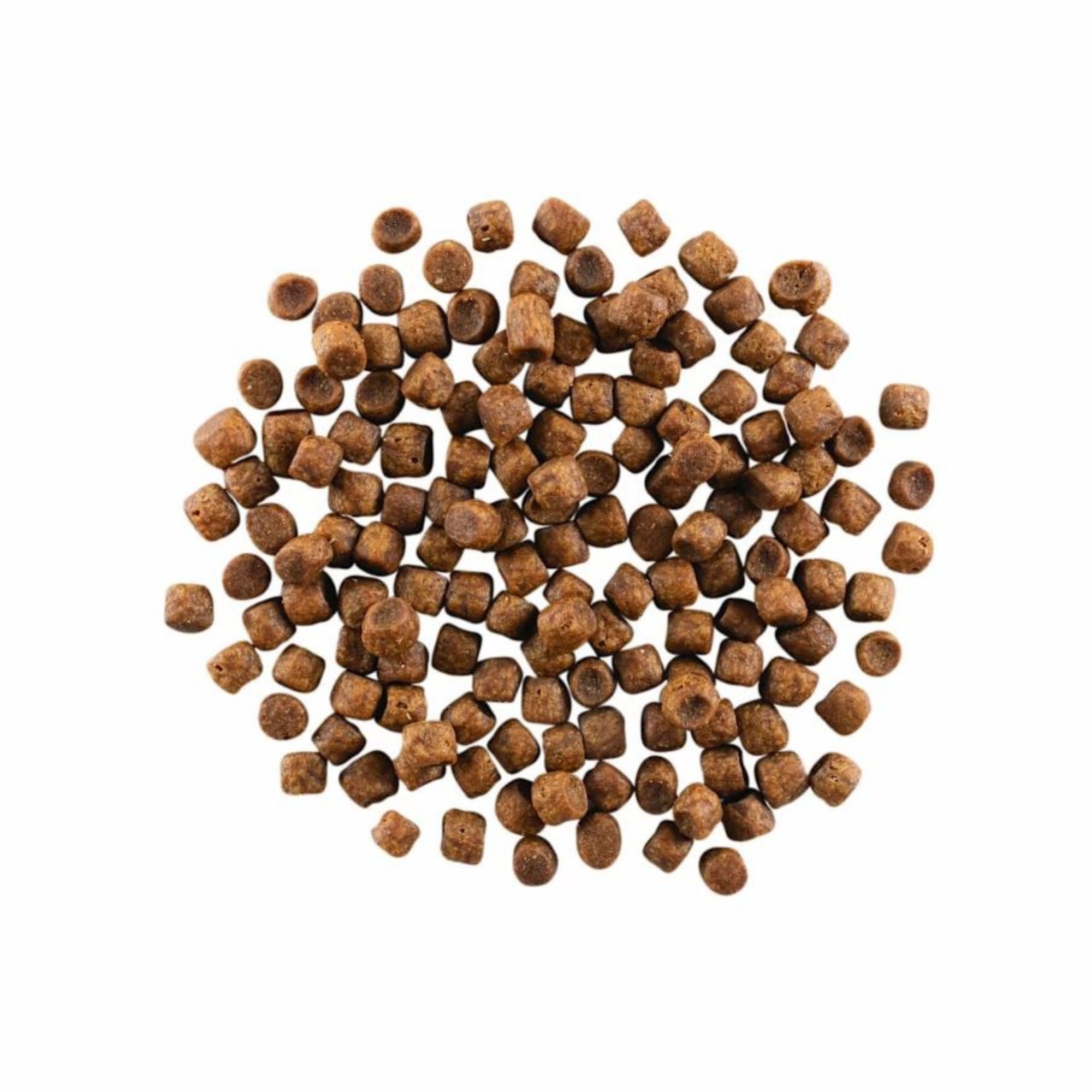 Go! Cat Carnivore Grain Free Chicken, Turkey & Duck 3Lb