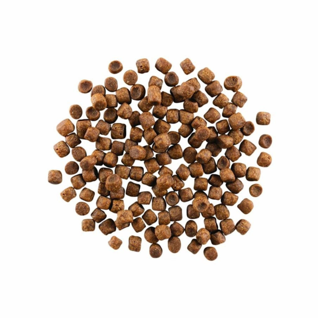 Go! Cat Carnivore Grain Free Chicken, Turkey & Duck 16Lb