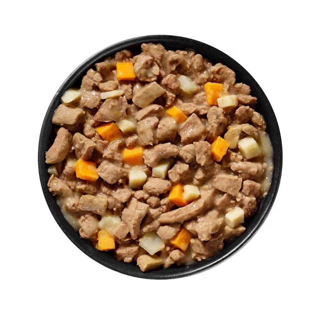 Go! Dog Carnivore Grain Free Shredded Lamb & Boar 12.5oz. (Case of 12)