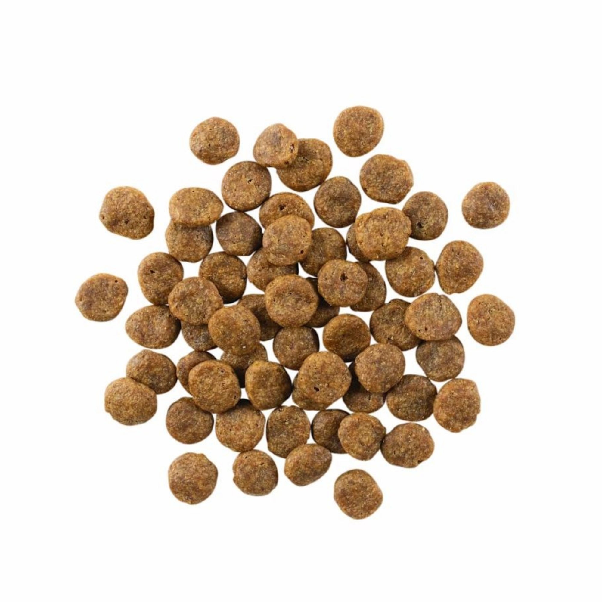 Go! Dog Sensitivities Limited Ingredient Grain Free Salmon 12Lb