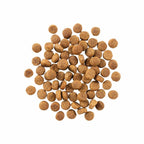 Go! Dog Skin & Coat Care Duck With Grain 3.5Lb