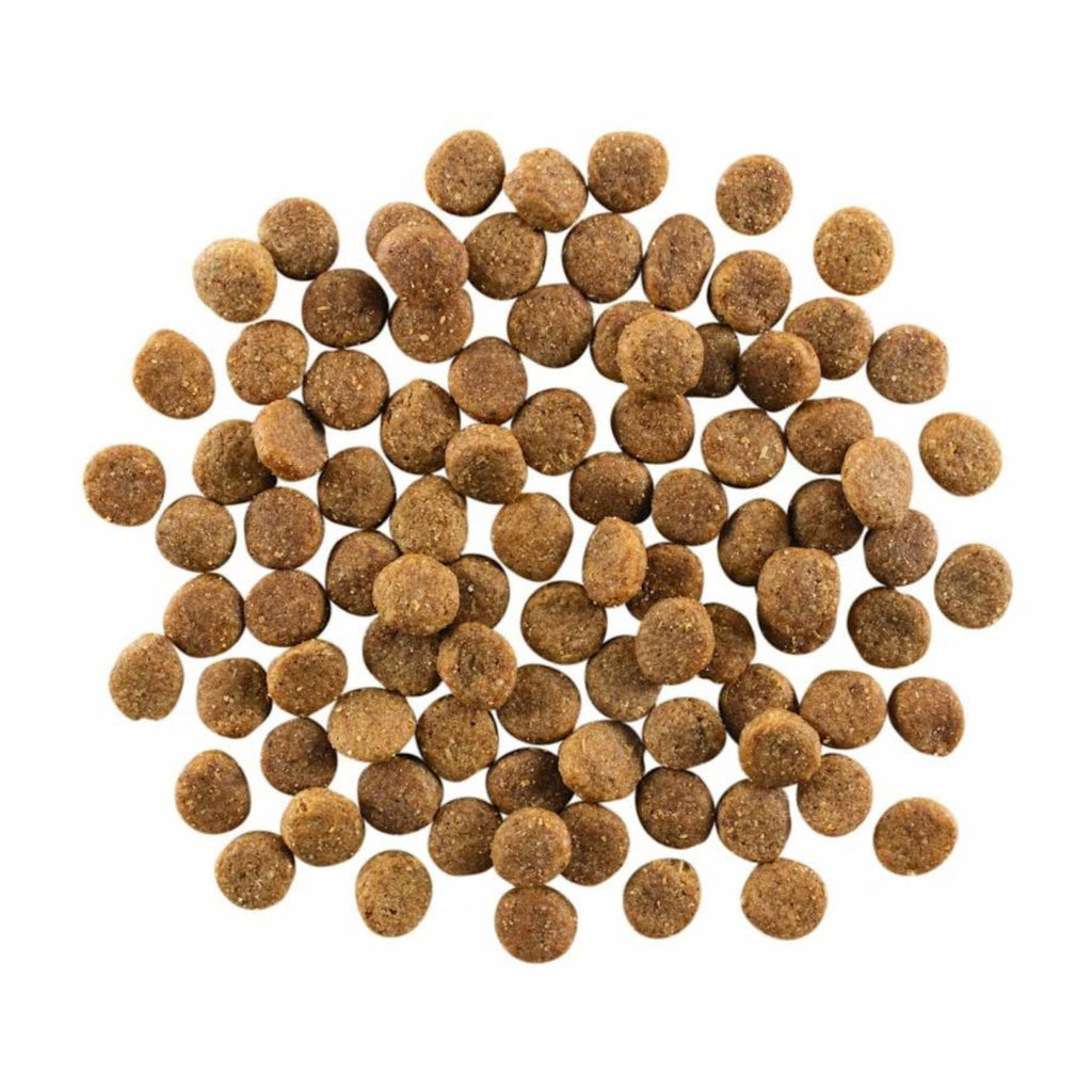 Go! Dog Skin & Coat Care Chicken With Grain 22Lb