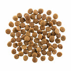 Go! Dog Skin & Coat Care Chicken With Grain 22Lb