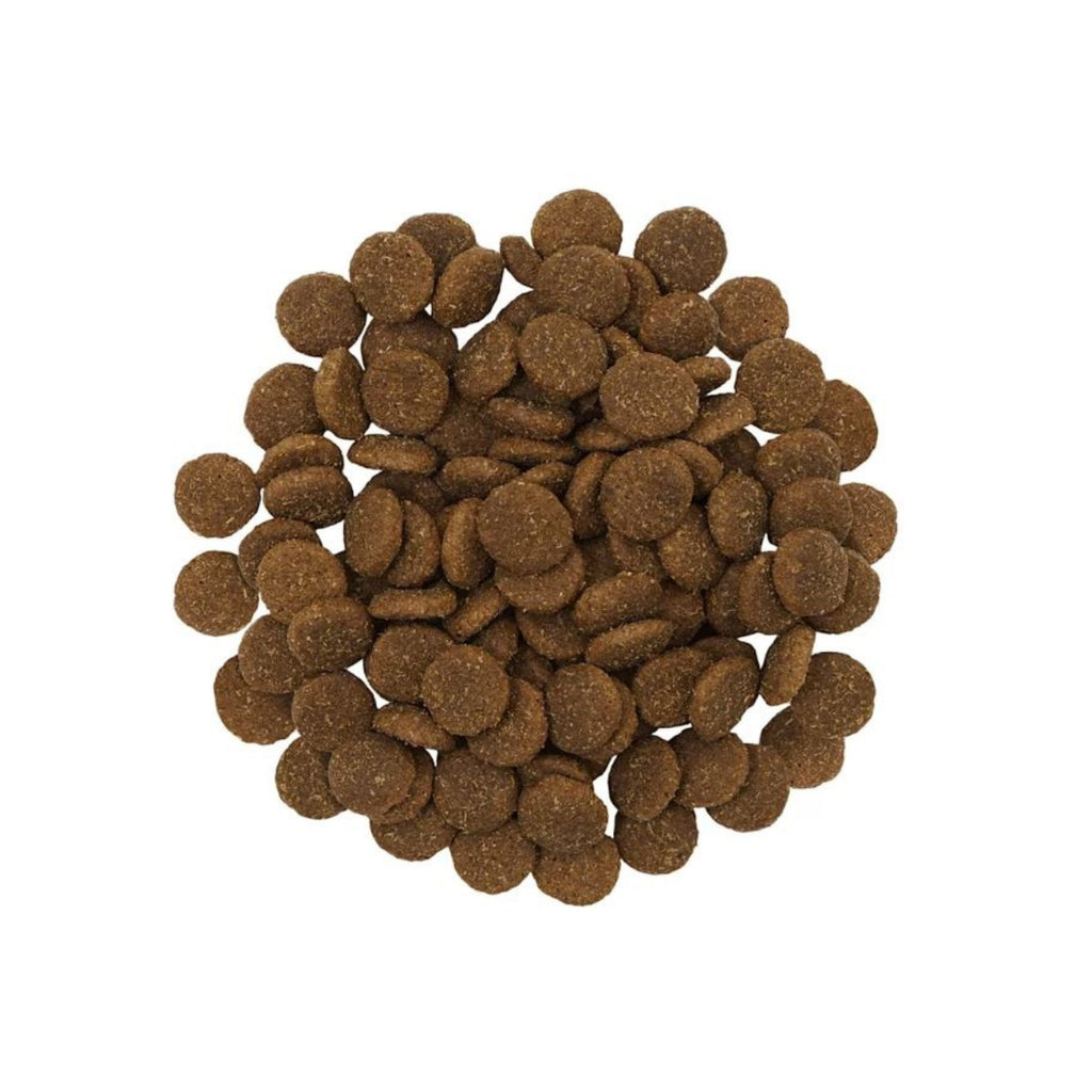 Go! Dog Skin + Coat Care Large Breed Adult Salmon 12Lb