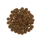 Go! Dog Skin + Coat Care Large Breed Adult Salmon 12Lb