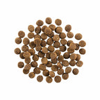 Go! Dog Skin & Coat Care Salmon With Grain 22Lb