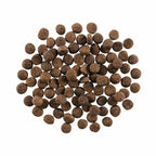 Go! Dog Skin & Coat Care Lamb With Grain 22Lb