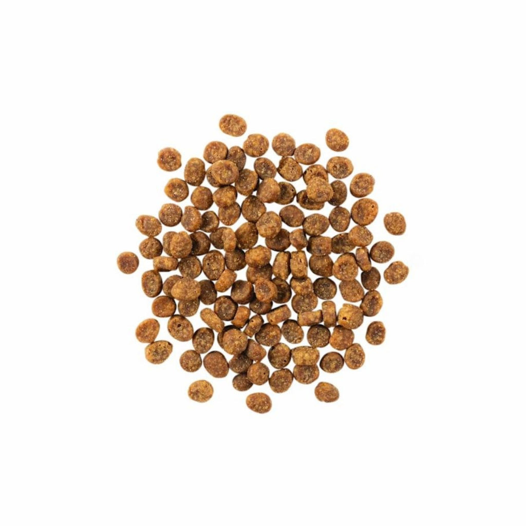 Go! Cat Sensitivities Limited Ingredient Grain Free Salmon 6Lb
