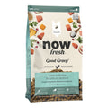 Now Fresh Dog Good Gravy Small Breed Salmon With Grain 12Lb