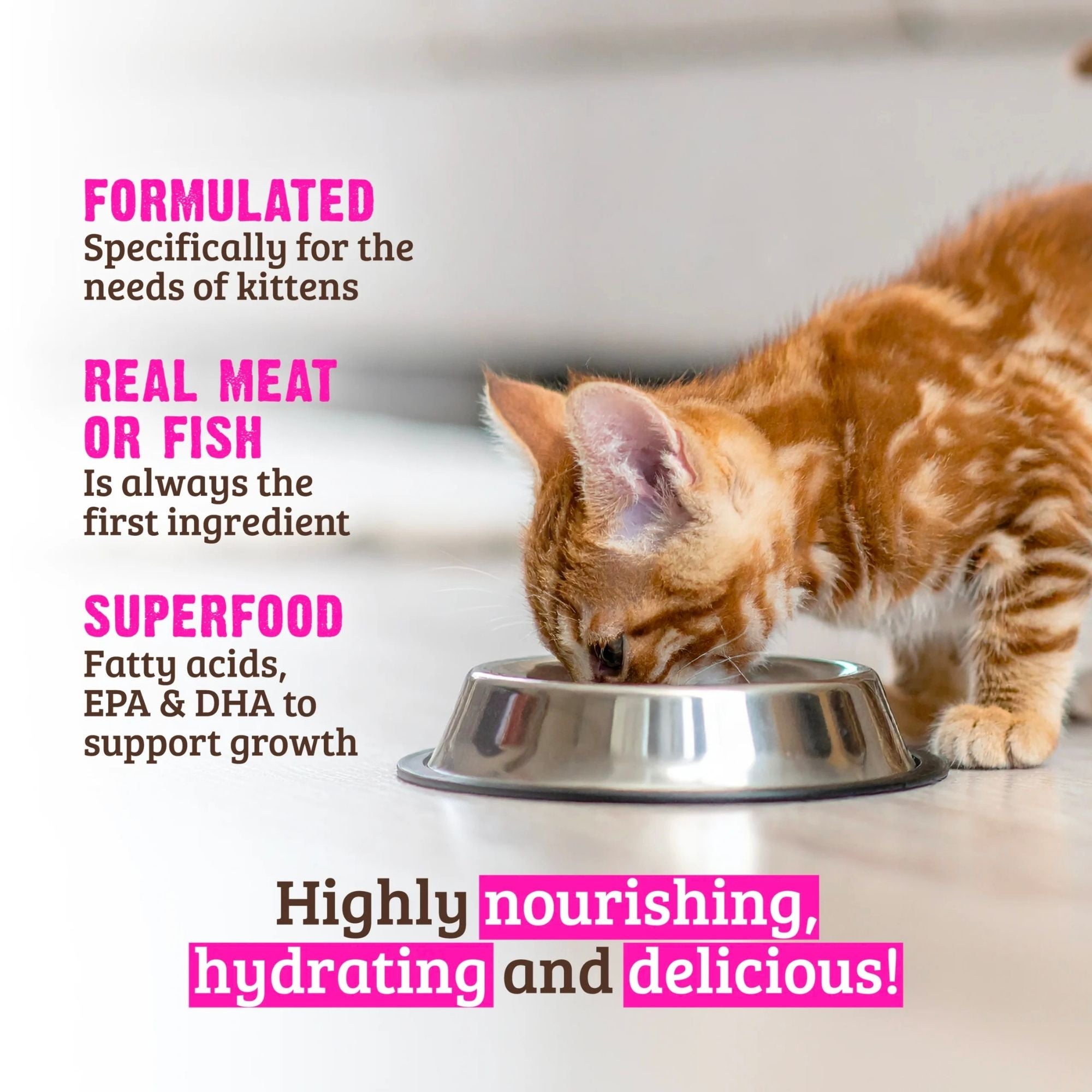 Rawz Kitten Cat Chicken Tuna Pate 2.8oz. (Case of 18)