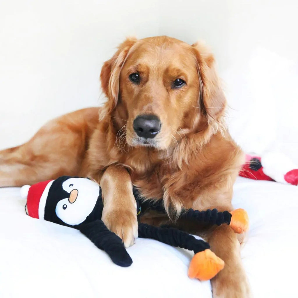 Zippypaws Holiday Crinkles Penguin Black/White Large