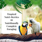 Lafeber Company Tropical Fruit Nutri-Berries Macaws & Cockatoos Food 1ea/3 lb