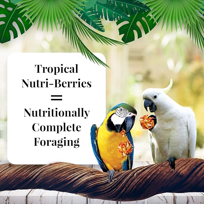 Lafeber Company Tropical Fruit Nutri-Berries Macaws & Cockatoos Food 1ea/3 lb