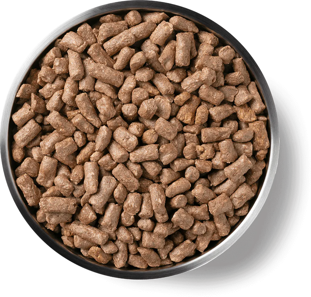 Vital Essentials Cat Freeze Dried Mini Nibs Duck 12oz.