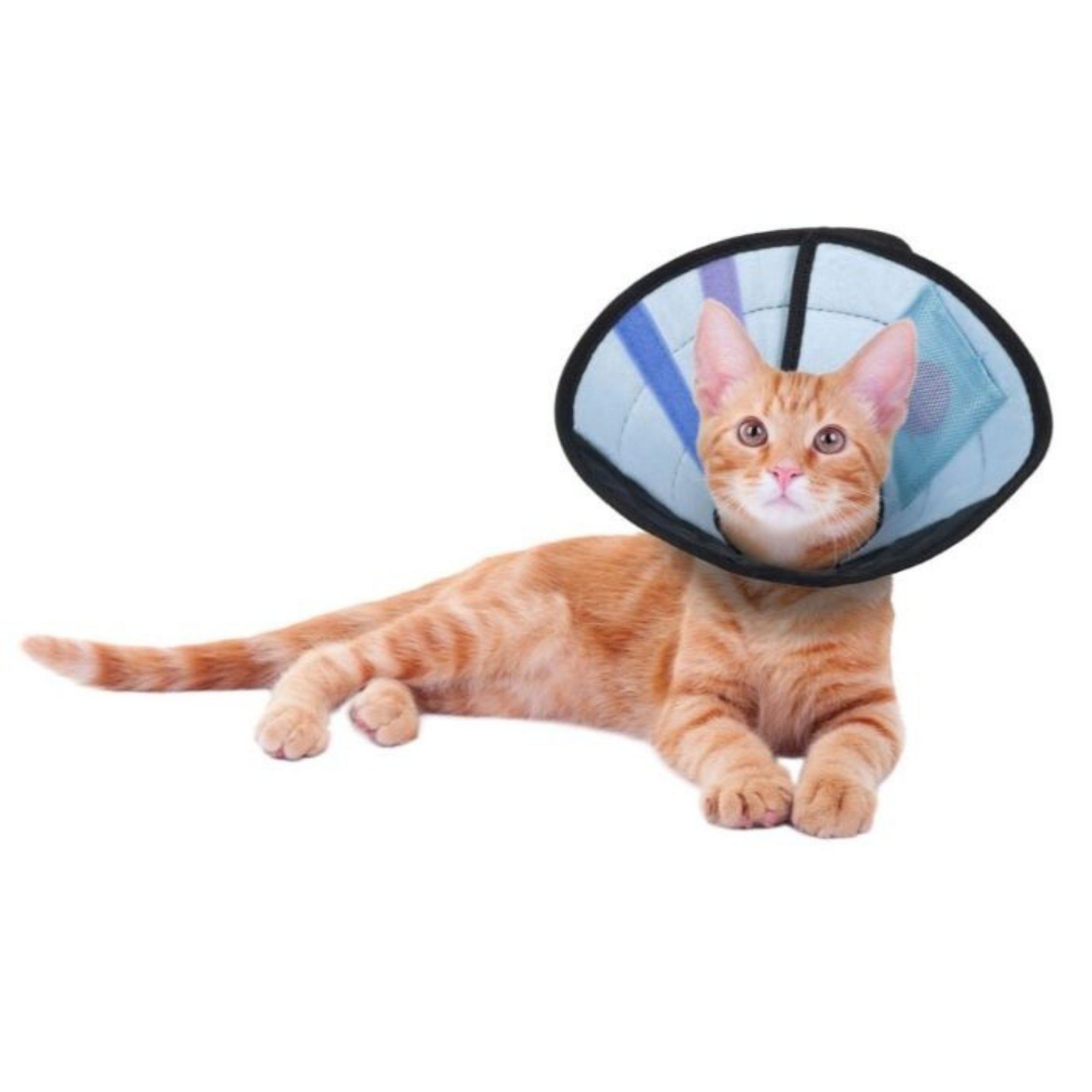 Calm Paws Caring Collar with Calming Disk For Cats XSmall