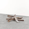 Primal Dog Stag Antler XL