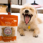Holi Dog 2oz. Lamb Liver
