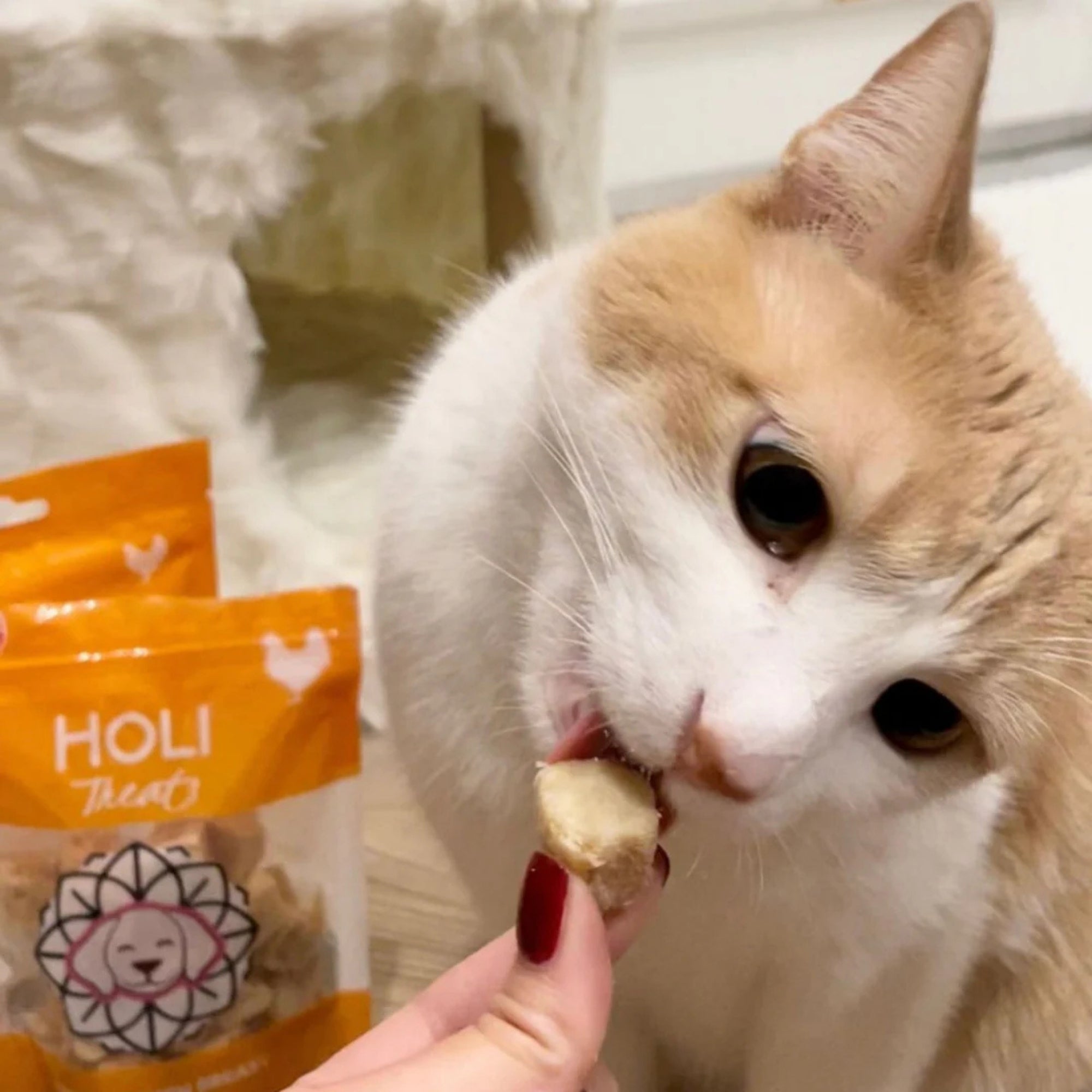 Holi Dog 3.5oz. Chicken Breast
