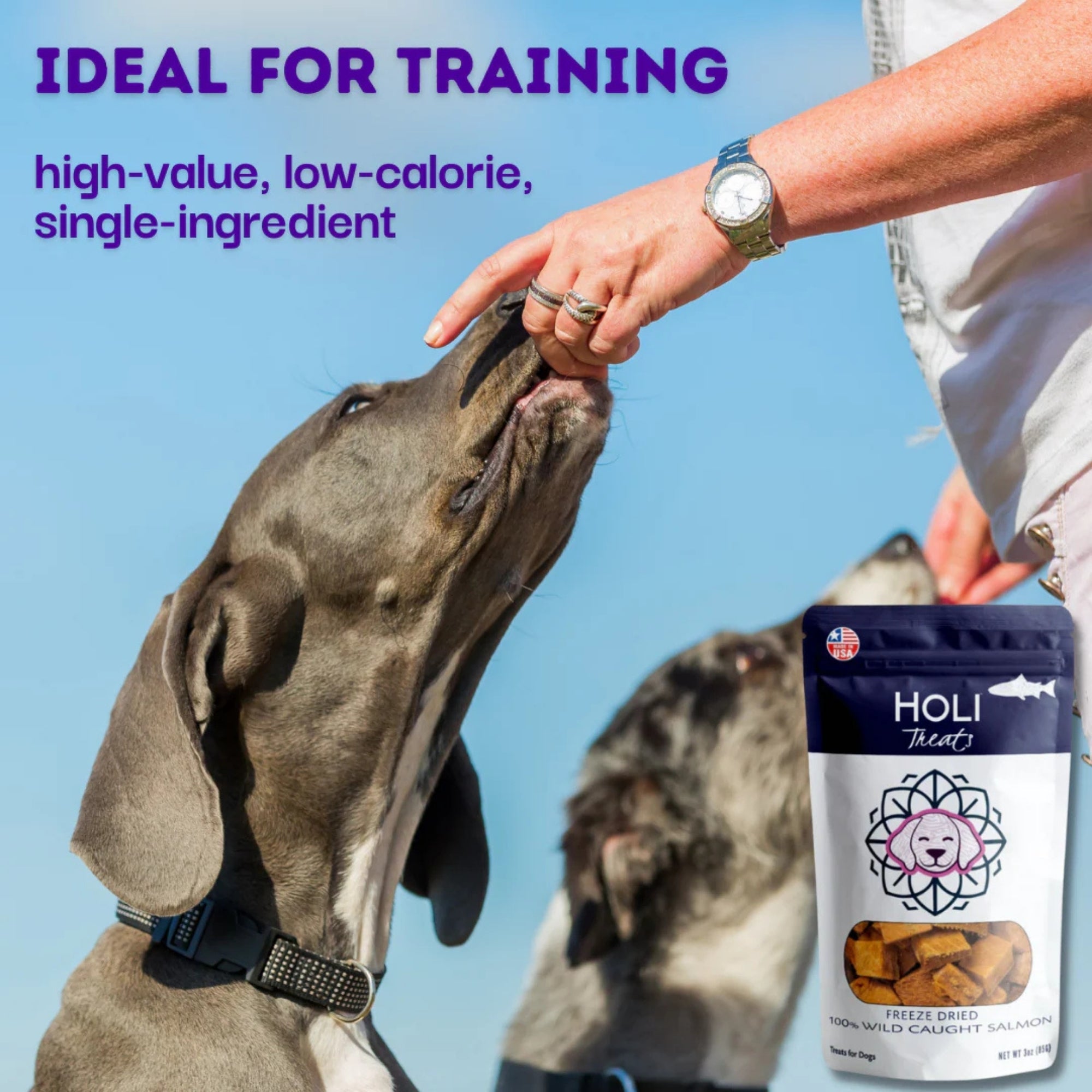 Holi Dog 3oz. Salmon