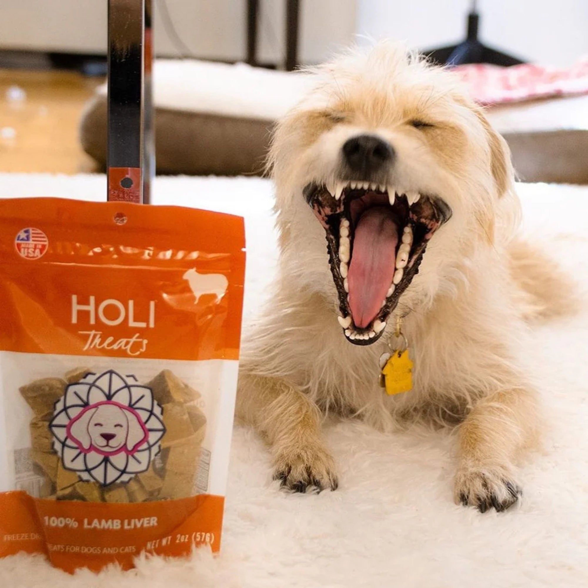 Holi Dog 4oz. Lamb Liver