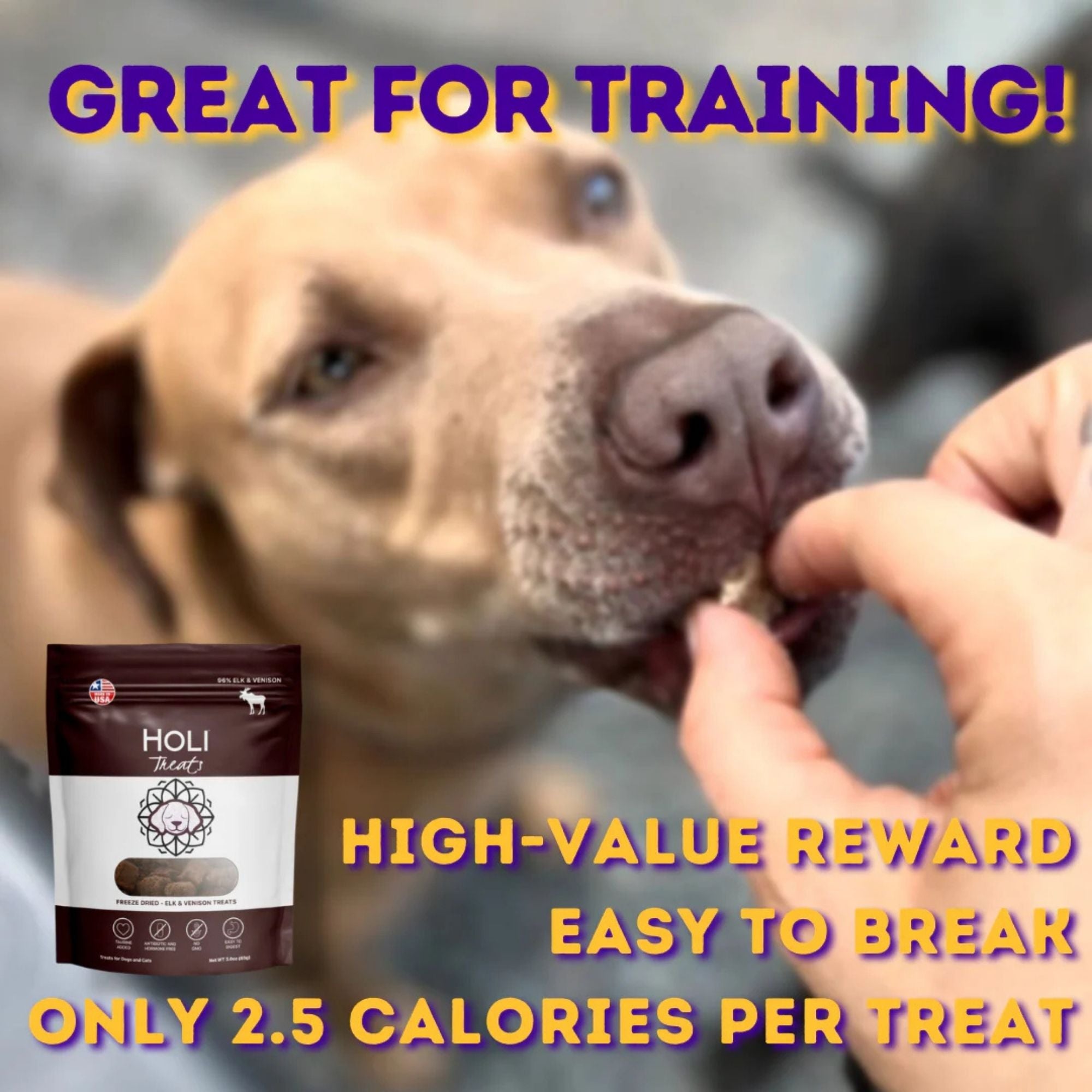 Holi Dog 3oz. Elk Venison
