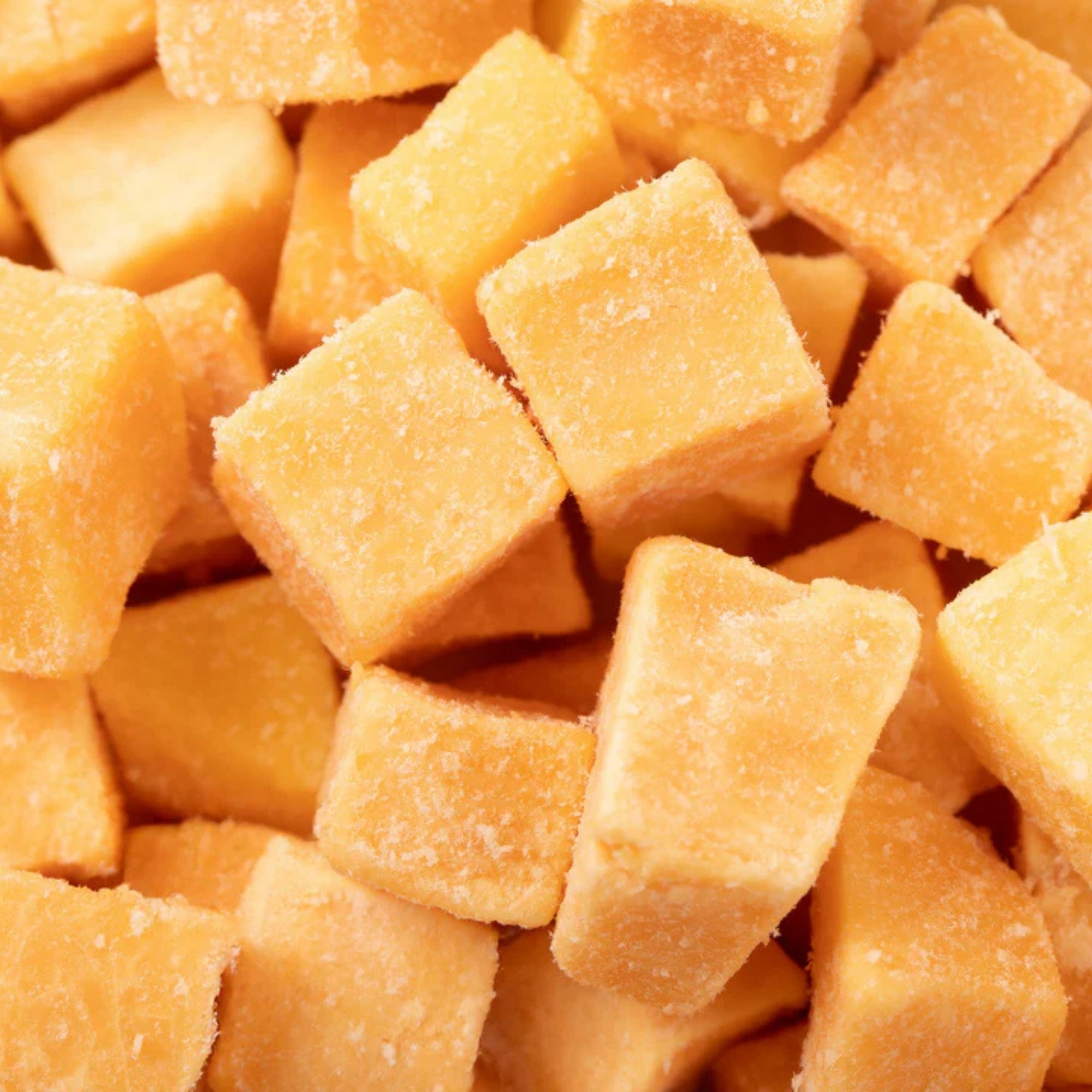 Holi Dog 5oz. Cheddar Cheese