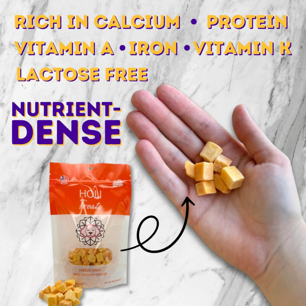 Holi Dog 5oz. Cheddar Cheese