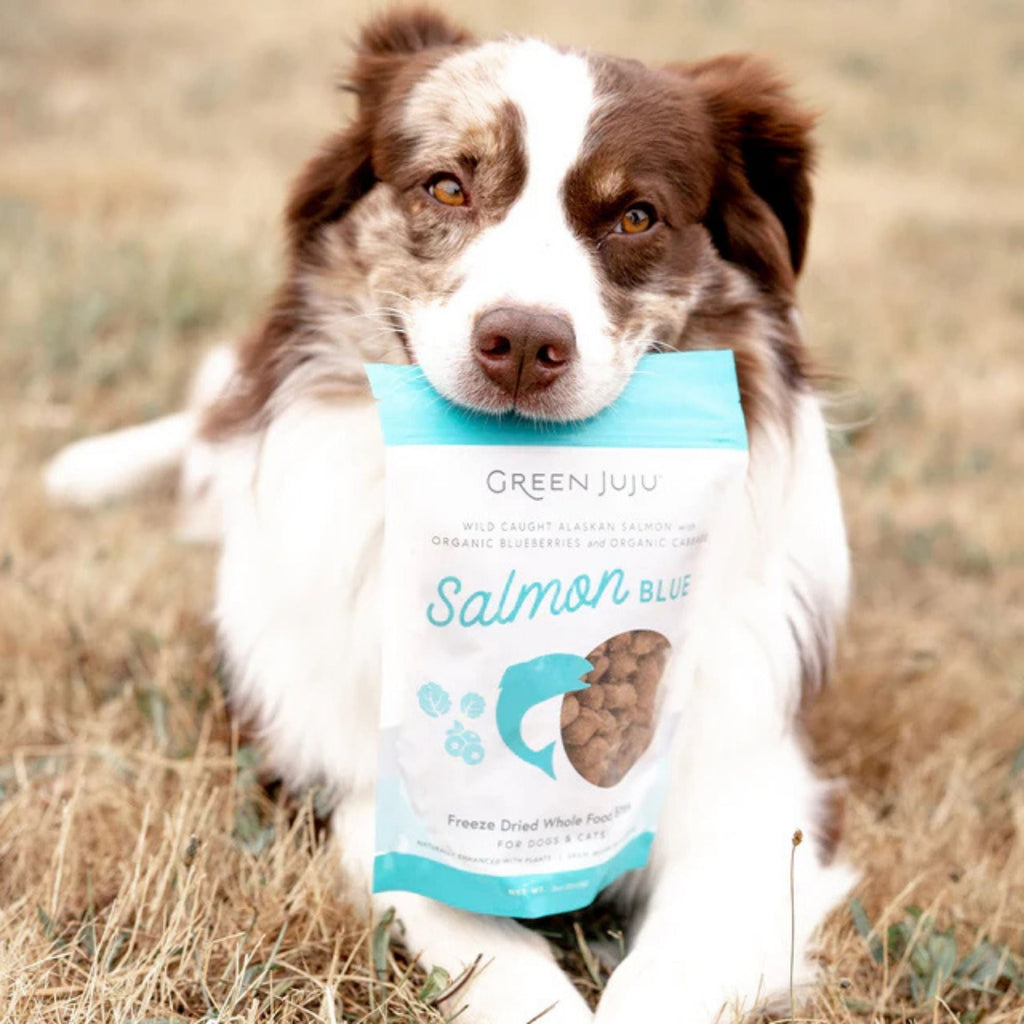 Green Juju Dog & Cat Freeze-Dried Grain Free Whole Food Bite Salmon Blue Toppers 3oz.