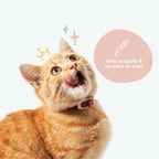 Kin+Kid Natural Kitty Ear Cleaner 4oz.