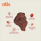Otis Dog Wild Things Grain Free Bison Lung Filets 4oz.