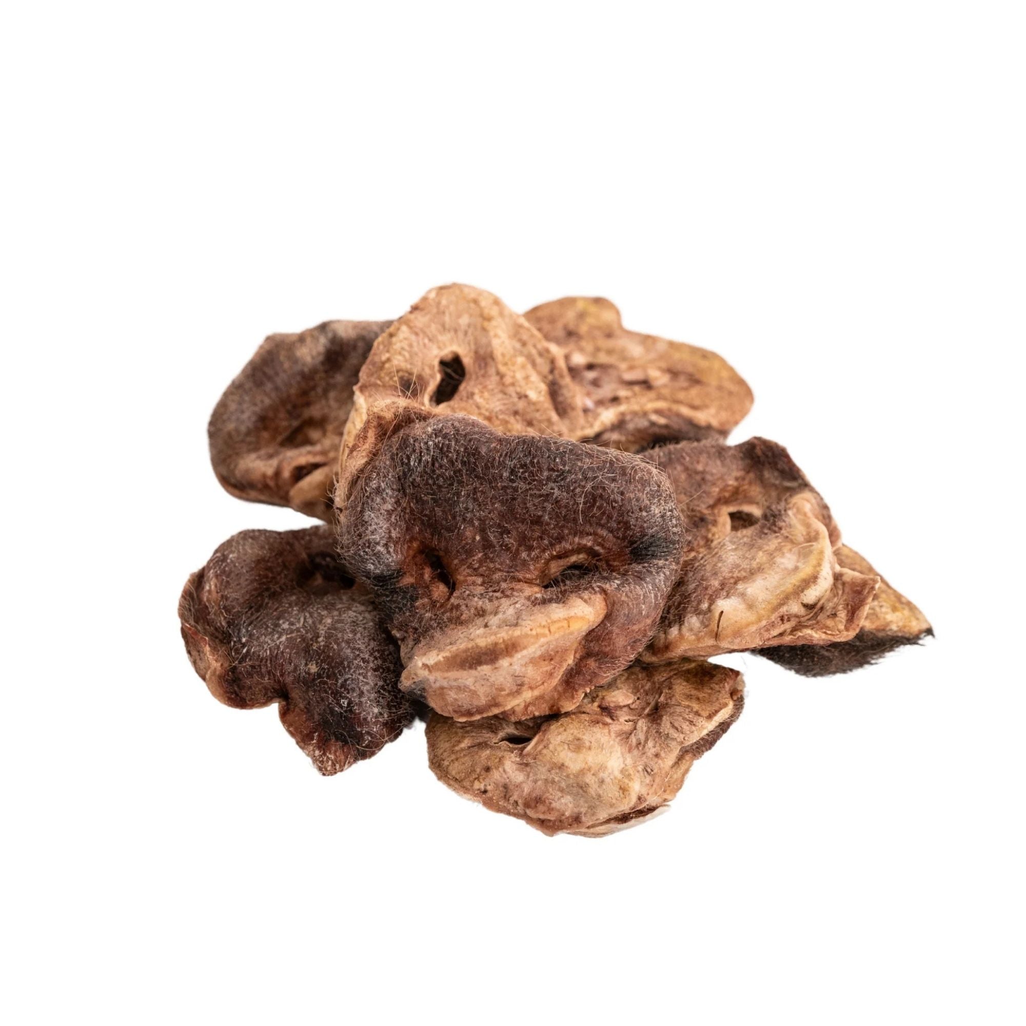 Momentum Carnivore Nutrition Pig Snout 14Ct Freeze-dried Bulk Chew