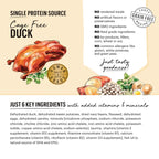 The Honest Kitchen Grain Free Spruce Duck Sweet Potato 4 Lbs.