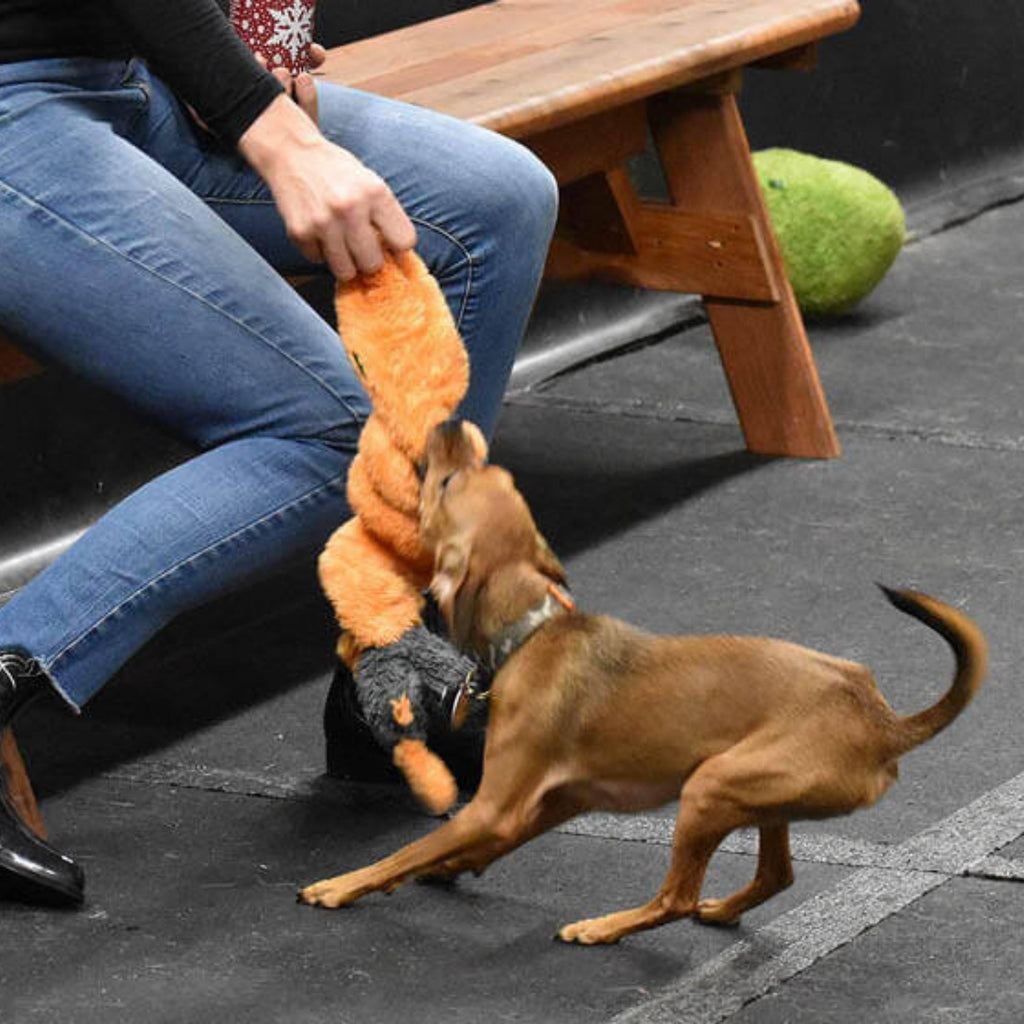 Cycle Dog Duraplush Caterpillar Dog Toy Orange Medium