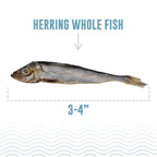 Icelandic Cat Herring Whole Fish 1.5oz.