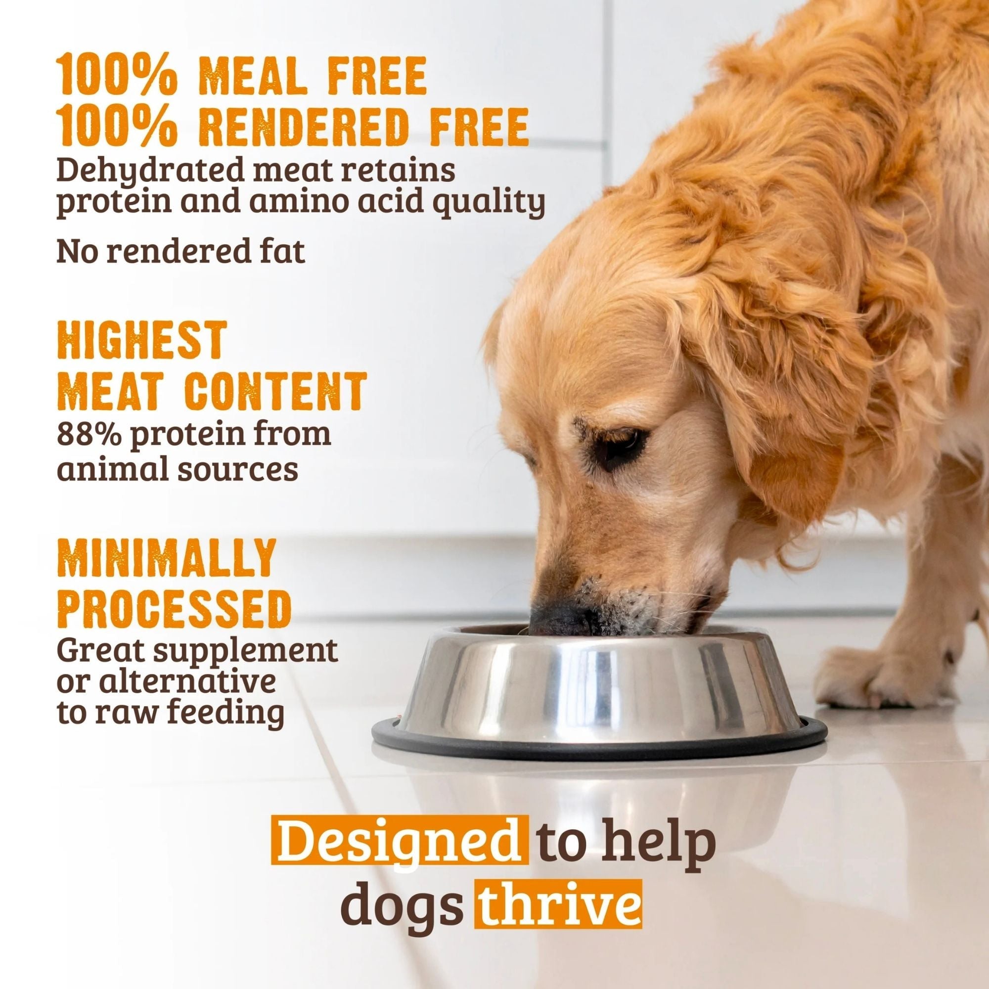 Rawz Dog Chicken Turkey Meal Free 20Lb