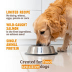 Rawz Dog Limited Ingredients Salmon 3.5Lb