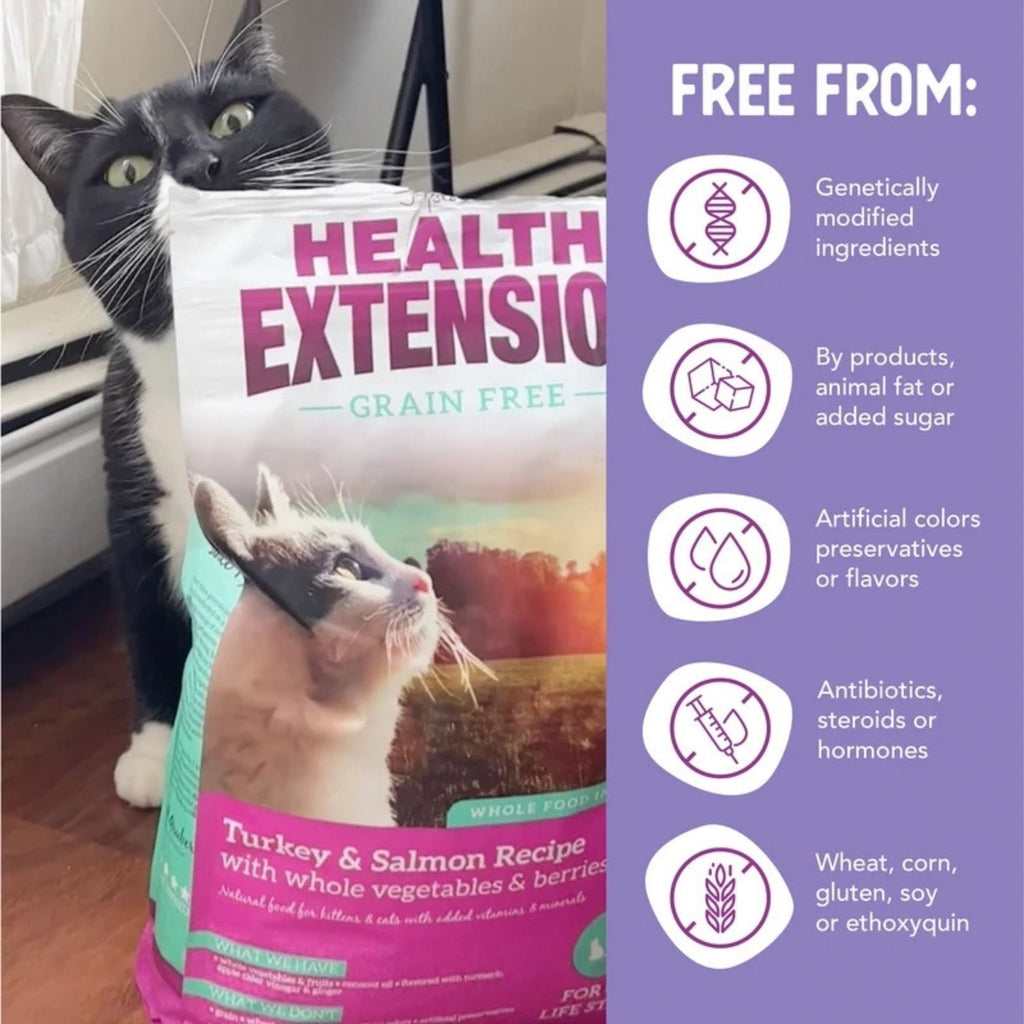 Health Extension Turkey & Salmon Kitten / Cat Grain Free Dry 4lb.