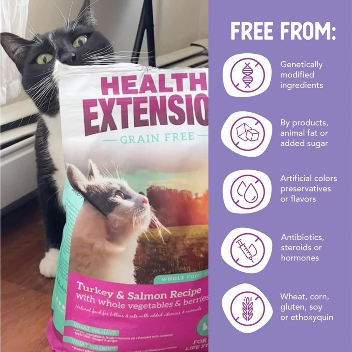 Health Extension Turkey & Salmon Kitten / Cat Grain Free Dry 15lb.