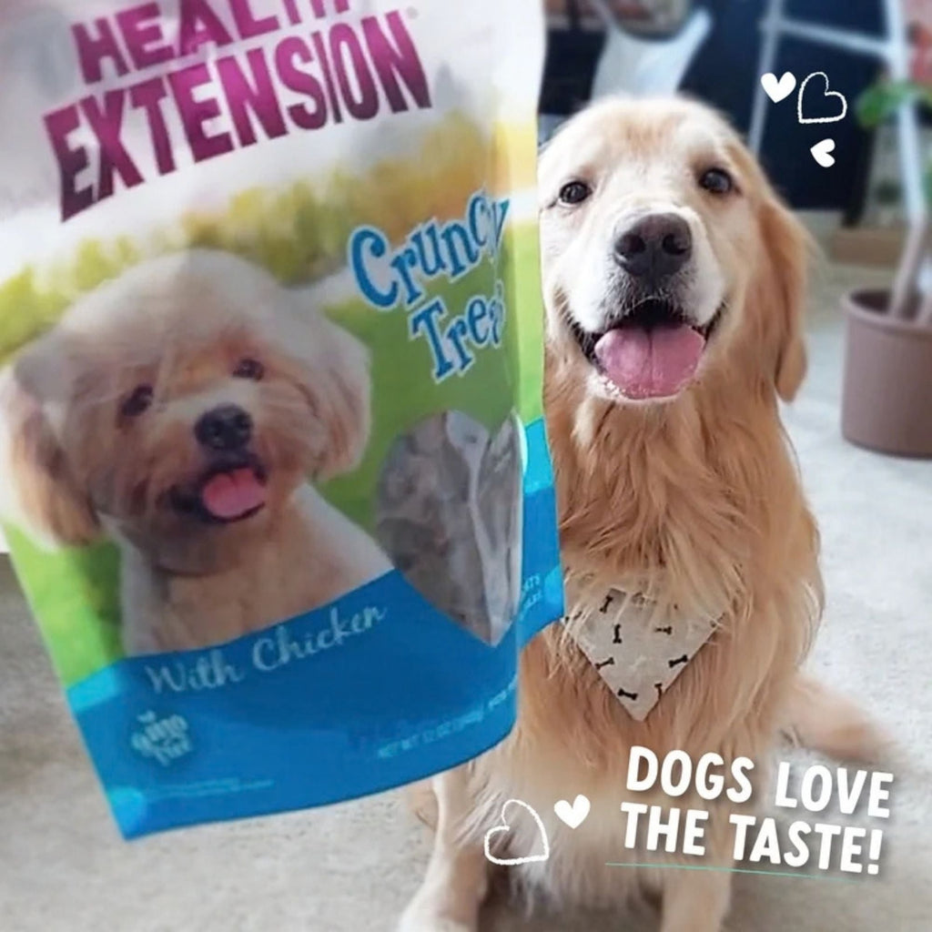 Health Extension Small Crunchy Dog Treats with Chicken 12oz.